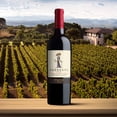 thumbnail image 3 of Vino tinto Arrogant Frog Cabernet Merlot 750 ml, 3 of 4