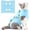 Blue, variant on Cat Recovery Suit Anti Licking, Cats Surgery Recovery Suit Female Kitten Onesie After Spay, Cone of Shame Alternative, Post-Surgery Kitten Surgical Clothes for Abdominal Wounds,Kont Pink,(S)