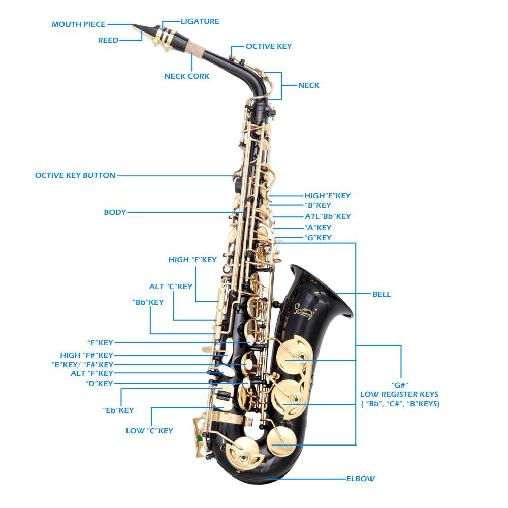Glarry Adult Eb Alto Saxophone Kit w/ 11 Reeds Case Accessories for Student