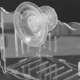 thumbnail image 4 of NUOLUX Porta Acuáticas Transparente Con Ventosa Para Fijar En Acuario Y Decorar, 4 of 7