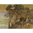 thumbnail image 2 of Bischoff, Franz 18x14 Gold Ornate Wood Framed with Double Matting Museum Art Print Titled - Point Lobos, Monterey Coast, 2 of 4