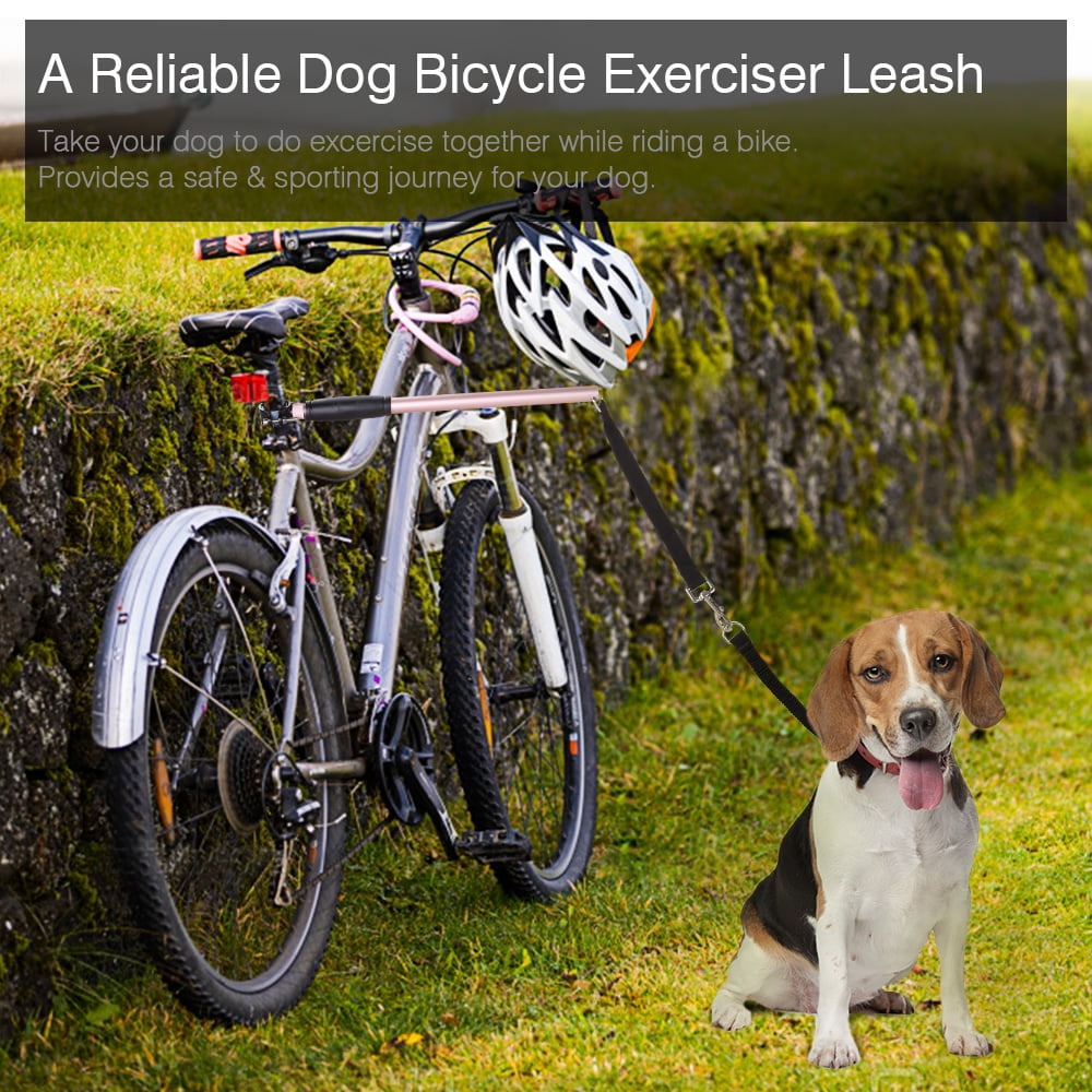dog bike leash walmart