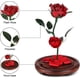 thumbnail image 2 of Beauty And The Beast Rose, Rose Led Light Glass Rose Glass Dome And Red Silk Rose Decoration Valenti, 2 of 4