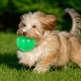 thumbnail image 3 of Durable TPR Squeaky Interactive Dog Toy Floating Chew for Aggressive Chewers and Water Play with Spiky Textured Design, 3 of 4
