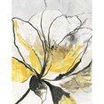 thumbnail image 3 of Jensen, Asia 19x24 Black Modern Framed Museum Art Print Titled - Outlined Floral I Yellow Version, 3 of 5