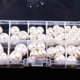 thumbnail image 4 of 79 Unids / Caja Belleza Botones de Ropa de Artesanía Arte 8/10/12/14/16 / 18mm, 4 of 9