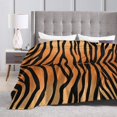 thumbnail image 4 of DouZhe Ultra-Soft Micro Fleece Lightweight Flannel Bed Blanket, Tiger Stripe Print Cozy Warm Throw Blankets, 60"x50", 4 of 7
