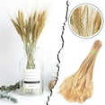 thumbnail image 2 of 50Pcs Dried Flowers Wheat Ear Flower Natural Dried Flowers For Wedding Party Decoration Diy Craft Scrapbook Home Artificial Flowers, 2 of 7