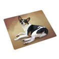 thumbnail image 1 of Rat Terrier Dog Blanket BLNKT48549, 1 of 3