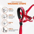 thumbnail image 2 of Dog Head Halter With Safety Strap, Dog Head Collar With Reflective Strap, No-pull Dog Collar Adjustable Dog Harness Training, 2 of 5