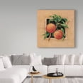 thumbnail image 3 of Trademark Fine Art ' Peach Square' Canvas Art by Barbara Mock, 3 of 3
