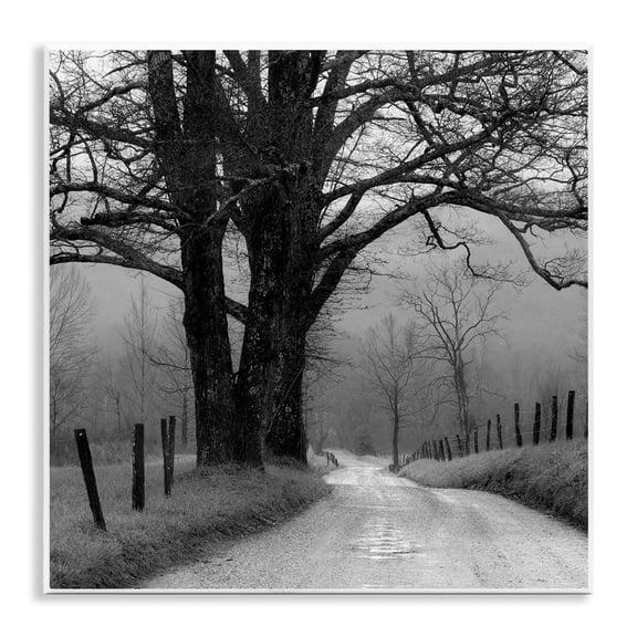 Stupell Industries Lonely Path Toward Trees Landscape & Nature Photography Unframed Art Print Wall Art, 12 x 12