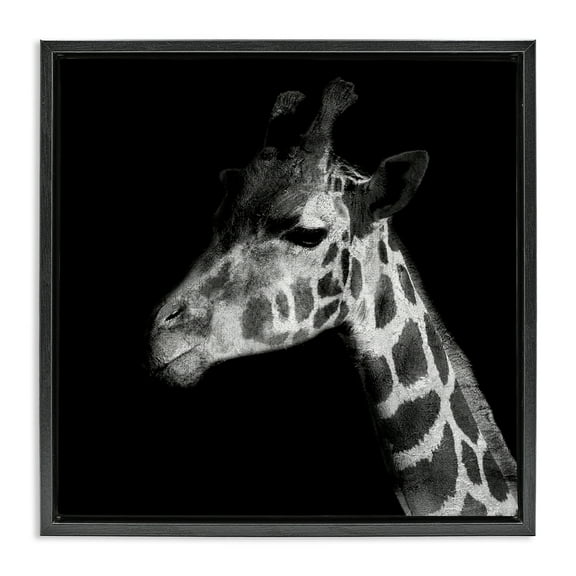 Stupell Industries Jungle Giraffe Portrait Animals Photography Black Floater Framed Canvas Art Print Wall Art, 18 x 18