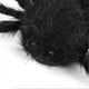thumbnail image 2 of Giant Scary Spider Halloween Decorations Plush Electronic Component Huge Fake Spider, 2 of 4