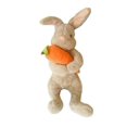 thumbnail image 1 of Conejito de Pascua de peluche, muñeco de conejo de Pascua, conejito abrazando zanahorias, juguetes de peluche para regalo de niños, marrón, 1 of 5