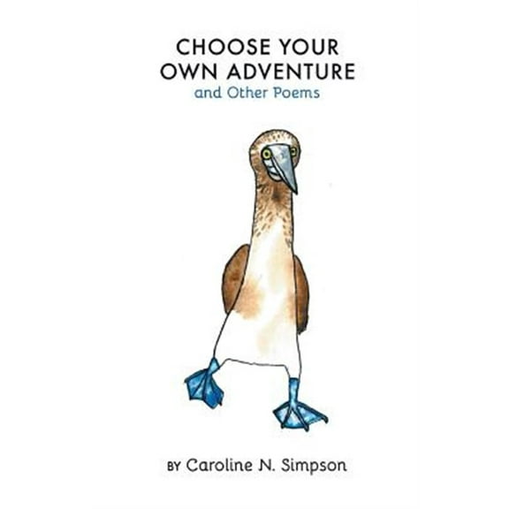 Choose Your Own Adventure and Other Poems (Paperback)