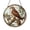 Acrylic 3.5 Inch, variant on Perched Hawk Stained Glass Style Window Hanging, Decorative Bird Glass Art Panel