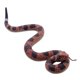 thumbnail image 1 of Juguete con forma de serpiente falsa Morofme, realista, de goma TPR, 1 of 6