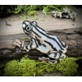 thumbnail image 5 of Brown Shimmery Frog, Facing Left, Embroidered Iron-on Patch, 5 of 5