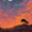 Dreamy Sunset Starry Sky, variant on UXIEQU Vintage Rose Landscape Canvas Wall Art Print 15.75x11.81 Inches