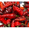 thumbnail image 3 of Naga Black Twister Pepper Premium Seed Packet, 3 of 3
