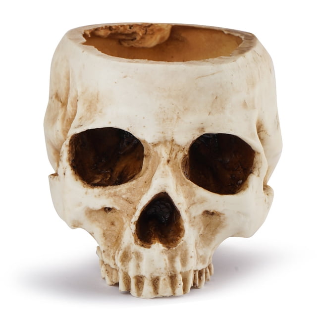 Resina abierto cráneo maceta maceta tablero de tacitos de tacón de la mesa de la barra de la barra Adorno de la barra realista Figuras de artesanía Halloween suculento para el partido Halloween Sweethay HA011081-00B