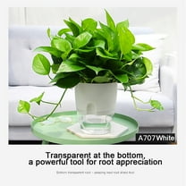 Plastic Self Watering Pots, Large Clear Plastic Automatic-Watering Plant Pot,Watering Planter with Drainage,Clear African Violet Pots for Indoor Plants, Wick Rope, Windowsill Gardens, Herb, Orchid