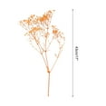 thumbnail image 2 of Uxcell Dried Baby's Breath Flowers 17 Inch Gypsophila Orange Natural Baby's Breath Branches for Wedding Party Home Decoration 3 Pcs, 2 of 6