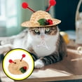 thumbnail image 2 of Small Dog Summer Straw Hat Cat Kitten Photography Prop Pet Costume Accessory, 2 of 7