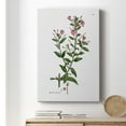 thumbnail image 6 of Rose Botanical III Premium Gallery Wrapped Canvas - Ready to Hang, 6 of 9