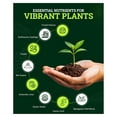 thumbnail image 2 of Happy Frog Potting Soil, 12qt – for Indoor/Outdoor Container Plants, Improves Root Efficiency, pH Adjusted for Optimal Nutrient Uptake – Contains Microbes and Humic Acids (Pack of 2), 2 of 6