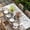 Grey Brown Ivory, variant on Rabbits Pine Cone Table Cloths for 6 Foot Rectangle Tables, Sweet Home Texture Brown Leaves Berries Patio Waterproof Elastic Fitted Tablecloths, Washable Rectangular Table Cover for Camping