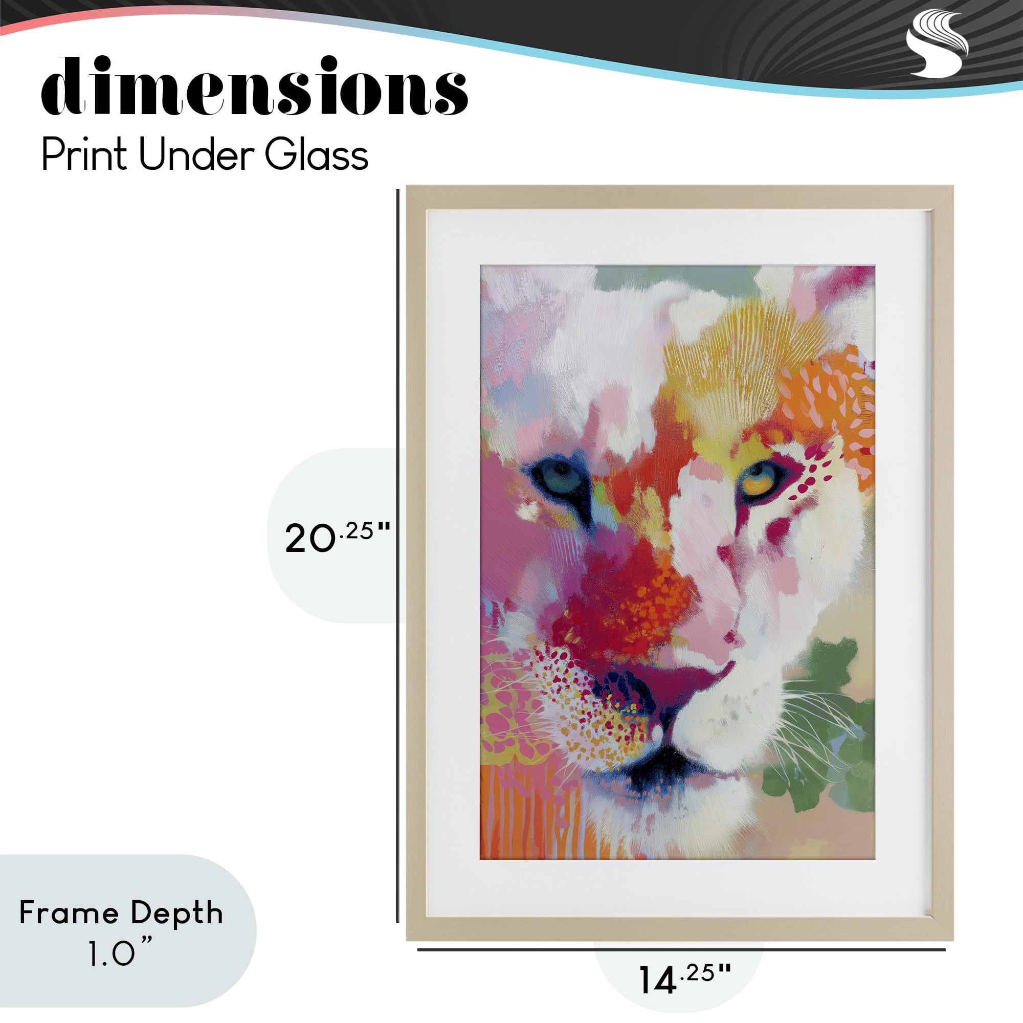 Stupell Industries Lion Eyes with Intense Gaze Birch Framed Print Under Glass, design by Chromatic Storm Studio