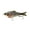 Bluegill Spawn, variant on 6th Sense – Trace Multi-Jointed Swimbait Series, Realistic Swimming Hard Bait