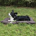 thumbnail image 2 of RichLink Pet Bed Mat Waterproof Portable Washable Mat for Dogs On Vacation Camping,Coffee, 2 of 10