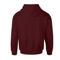 thumbnail image 2 of Harry Potter Sweat à Capuche Fille Gryffondor Crest, 2 of 4