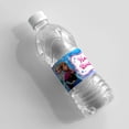thumbnail image 4 of Etiquetas para envolver botellas de agua de Frozen, Anna y Elsa, etiquetas de cumpleaños, pegatinas, Blancanieves, Cenicienta, princesas, decoración para fiestas de cumpleaños infantiles, 4 of 5