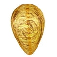 thumbnail image 1 of Great promotion! Waterproof Decoys Hanging Deterrents Fake Cloth Bee Decoy Deterrent For Home And Garden Outdoors Popular!, 1 of 5
