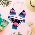 thumbnail image 6 of Starry Sky Flamingo Detachable Sponge Adjustable Strap Bikini Set - Two-Pack Swim Wear One-Piece Swimsuits, 6 of 6