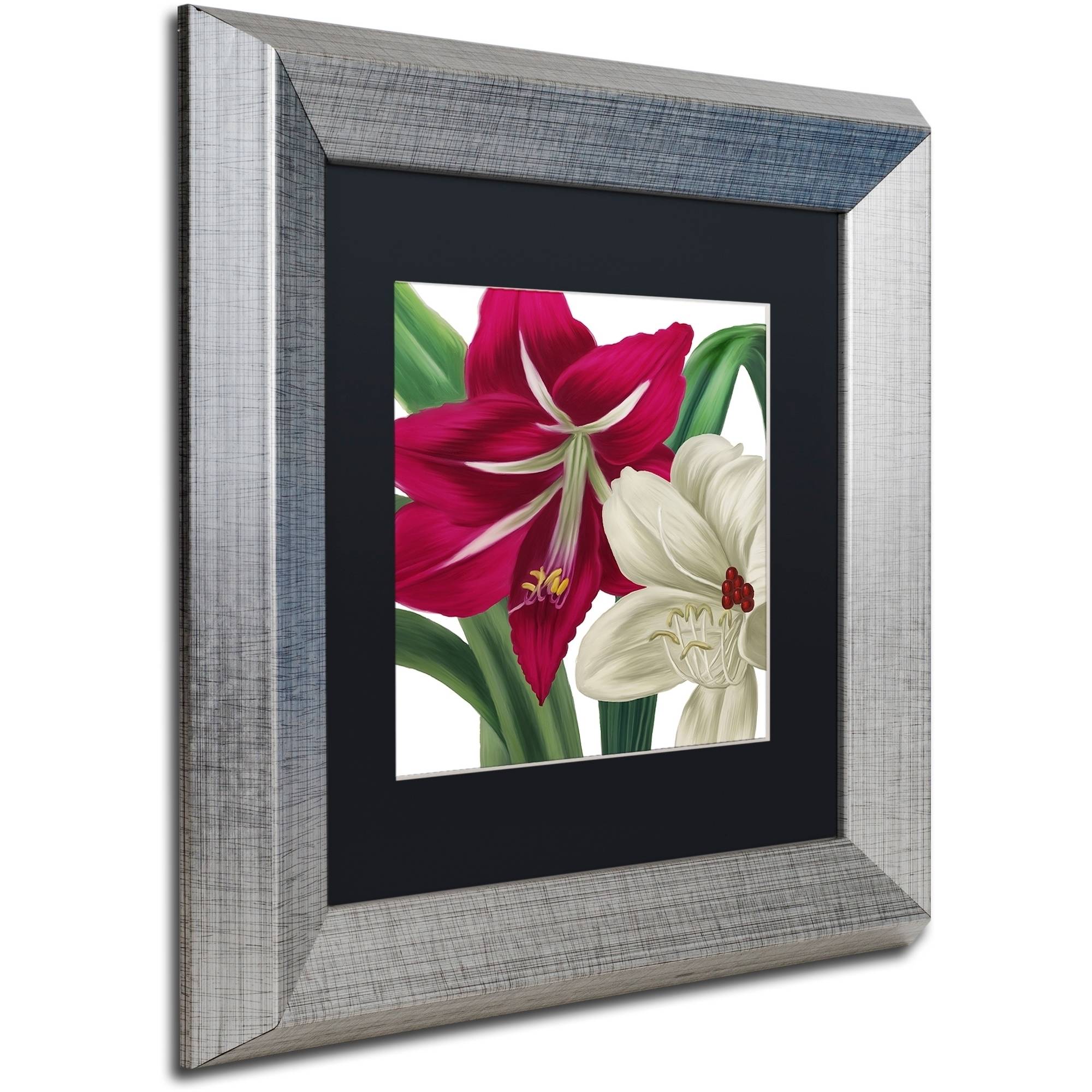 Trademark Fine Art "Christmas Amaryllis I" Canvas Art by Color Bakery Black Matte, Silver Frame