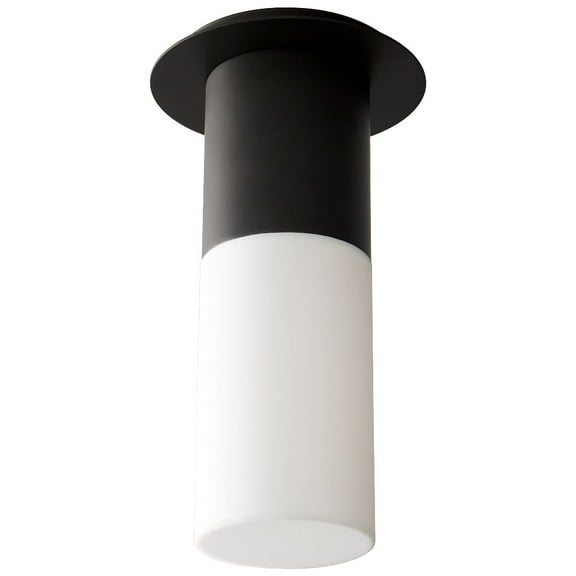 9 Inch 120V 5.1W 1 Led Large Acrylic Flush Mount-Black Finish Oxygen Lighting 3-309-215