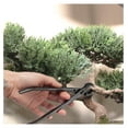thumbnail image 5 of Drevy Bonsai Tool Kit - 8" Concave Cutter & 8" Knob Cutter, 5 of 6