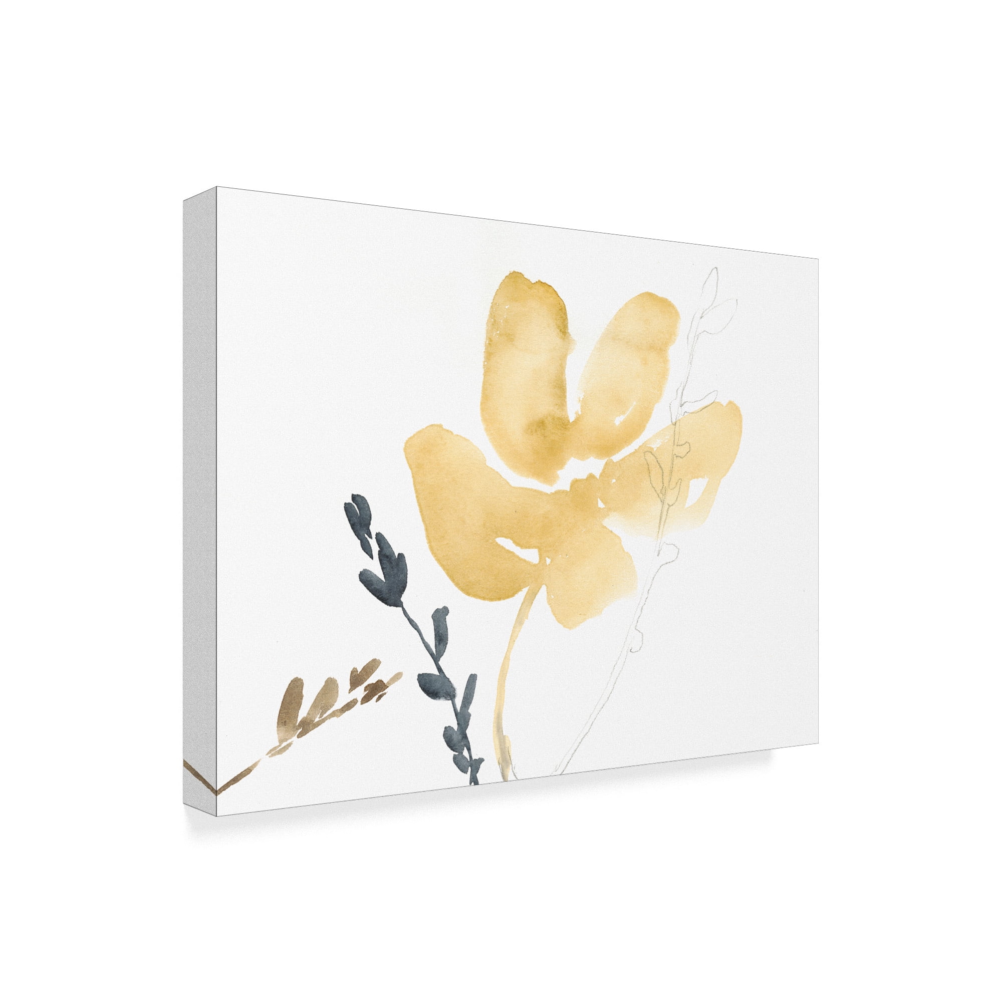 Trademark Fine Art 'Branch Contours III' Canvas Art by Jennifer Goldberger