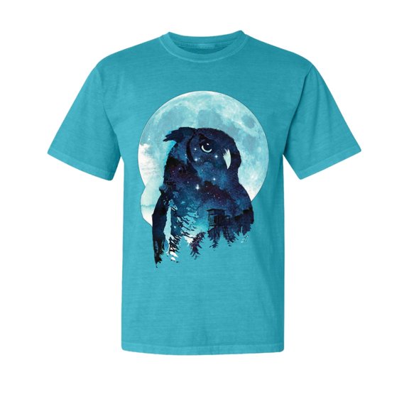 Wild Bobby, Creepy Winter Beach Night Owl, Animal Lover, Garment-Dyed Washed Look Short Sleeve T-Shirt, Blue Lagoon, Small