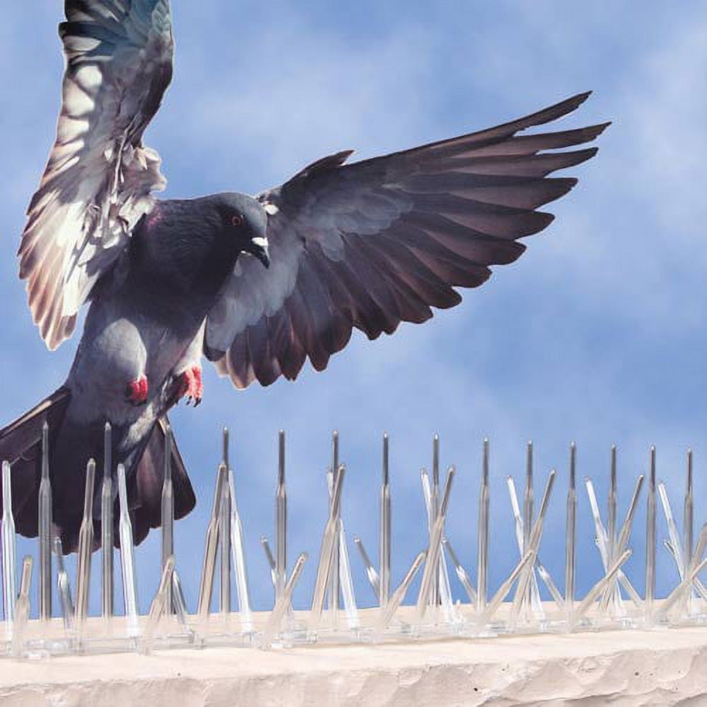Bird B Gone Inc. BBGMM200056 5'' to 6' Bird Spikes 2000- White