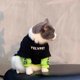 thumbnail image 2 of Ropa de marca de moda para perros y gatos de otoño e invierno, muñeco de tela para gatos, suéter con forro polar chenari para perros pequeños antipelusas de Blue Cat, 2 of 5