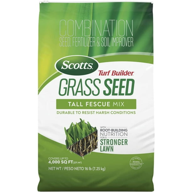 QWE Turf Builder Grass Seed Tall Fescue Mix Grows Deep Roots for a