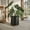 Black, variant on Honeycomb Metal Planter Pot With Peg Base - Black - 10.75"H x 10.25"W