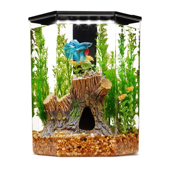 Imagitarium Plastic Hexagon Betta Aquarium 2.5 Gallon