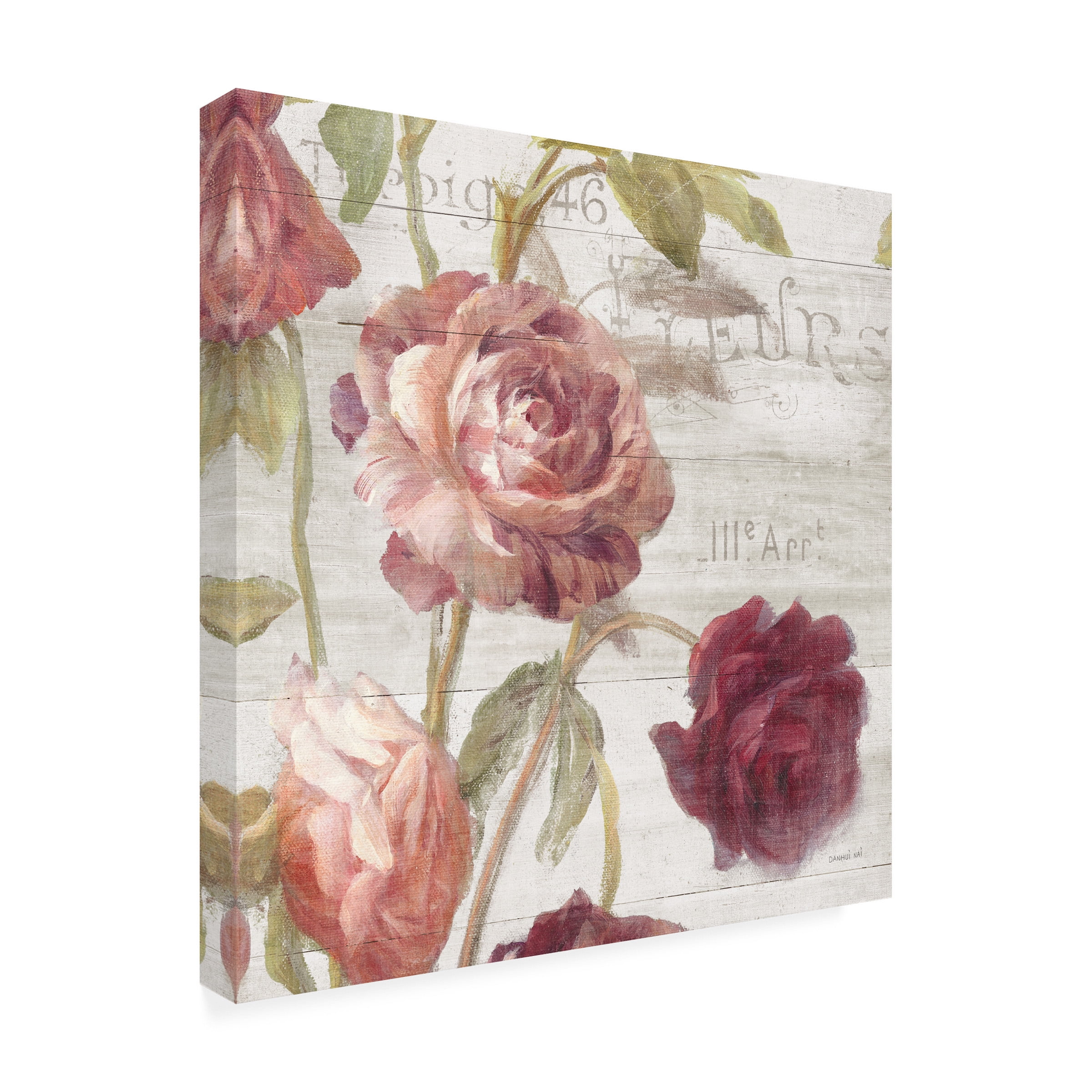 Trademark Fine Art 'French Roses IV' Canvas Art by Danhui Nai